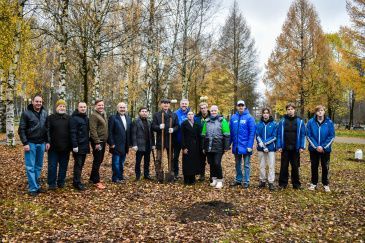 В Твери в парке на улице Королева высадили молодые дубы 