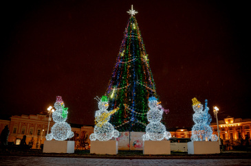 Администрации районов Твери установили  более 20 новогодних елей