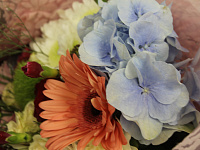 Трем жителям Твери вручены награды за значительный вклад в развитие города