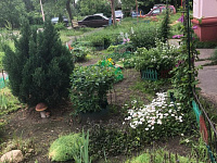 В Твери наградили участников фестиваля цветников  «Украсим район своим руками»