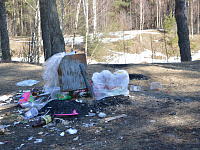 В тверских рощах проходят рейды по борьбе с навалами мусора