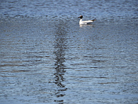 В Твери продолжается реализация национального проекта «Экология»