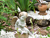 В Твери выбрали лучший участок детского сада