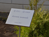 Ученики тверской школы № 17 высадили из деревьев и кустарников «Аллею знаний»