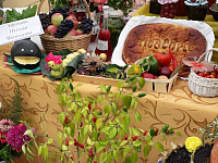 В рамках всероссийского экологического субботника в Московском районе города Твери прошли мероприятия по благоустройству