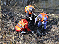 Городские муниципальные предприятия участвуют в массовых субботниках