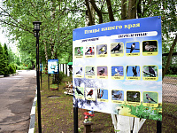 В Твери выбрали лучший участок детского сада