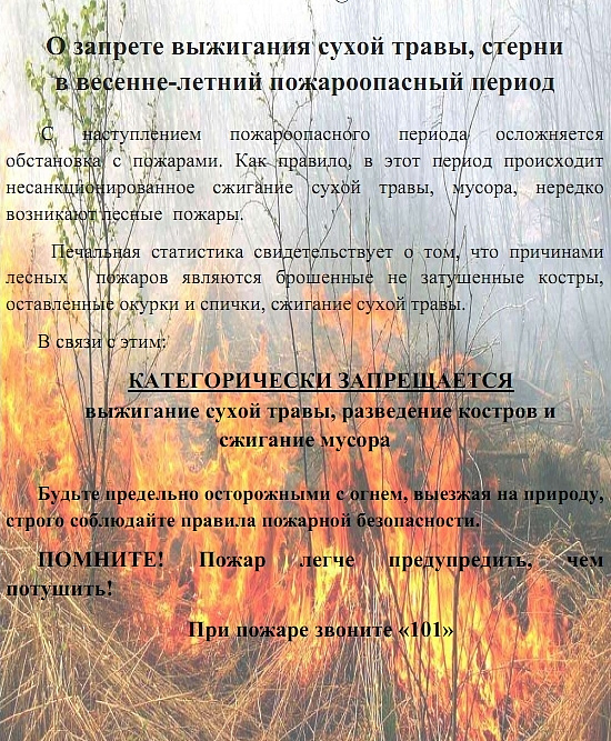 Информация о выжигании сухой растительности на территории  города Твери