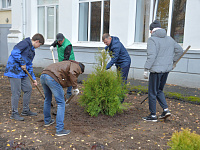 Ученики тверской школы № 17 высадили из деревьев и кустарников «Аллею знаний»