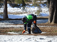В тверских рощах проходят рейды по борьбе с навалами мусора