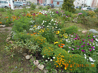 Конкурс по благоустройству «Дом в котором мы живем» 