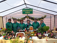 В рамках всероссийского экологического субботника в Московском районе города Твери прошли мероприятия по благоустройству