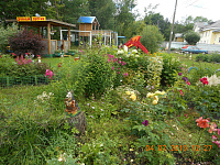 Конкурс по благоустройству «Дом в котором мы живем» 