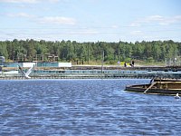 В Твери продолжается реализация национального проекта «Экология»