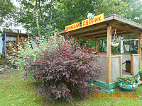 Конкурс по благоустройству «Дом в котором мы живем» 