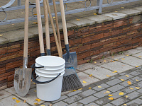 Ученики тверской школы № 17 высадили из деревьев и кустарников «Аллею знаний»