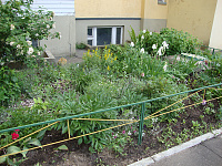 О проведении конкурса по благоустройству «Дом, в котором мы живем» в Заволжском районе города Твери