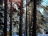 Тверских первоклассников приглашают отдохнуть на каникулах в лагере «Спутник»