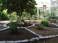 В Твери наградили участников фестиваля цветников  «Украсим район своим руками»