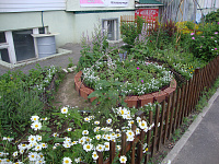 О проведении конкурса по благоустройству «Дом, в котором мы живем» в Заволжском районе города Твери