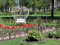 В Городском саду высажена аллея каштанов