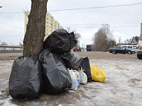 В Твери продолжают штрафовать за несанкционированные навалы мусора
