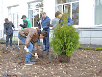 Ученики тверской школы № 17 высадили из деревьев и кустарников «Аллею знаний»