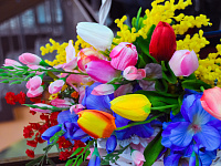 В Твери определили победителей муниципального этапа конкурсов «Учитель года России» и «Воспитатель года России» - 2026