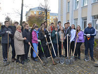 Ученики тверской школы № 17 высадили из деревьев и кустарников «Аллею знаний»