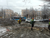 В Твери продолжается расчистка и обработка УДС