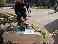 Выставка «Ветеранское подворье»