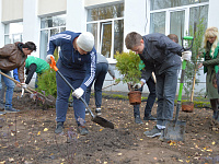 Ученики тверской школы № 17 высадили из деревьев и кустарников «Аллею знаний»