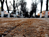 В Твери МУП «ЖЭК» ведёт работы по зимнему содержанию улично-дорожной сети