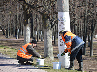На дорогах Твери начались работы по нанесению разметки 