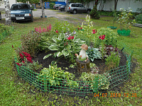 Конкурс по благоустройству «Дом в котором мы живем» 