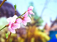 В Твери стартуют мероприятия, посвященные Международному женскому дню