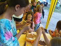 На территории Заволжского района в преддверии празднования Дня флага Российской Федерации прошли праздники двора 
