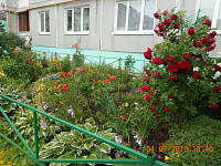 Конкурс по благоустройству «Дом в котором мы живем» 