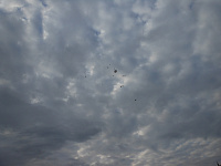 Программа-акция «Зажгите свечи» в памяти  о трагических событиях в Беслане