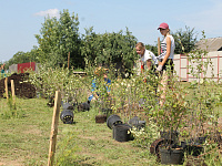 В Твери продолжаются работы по благоустройству