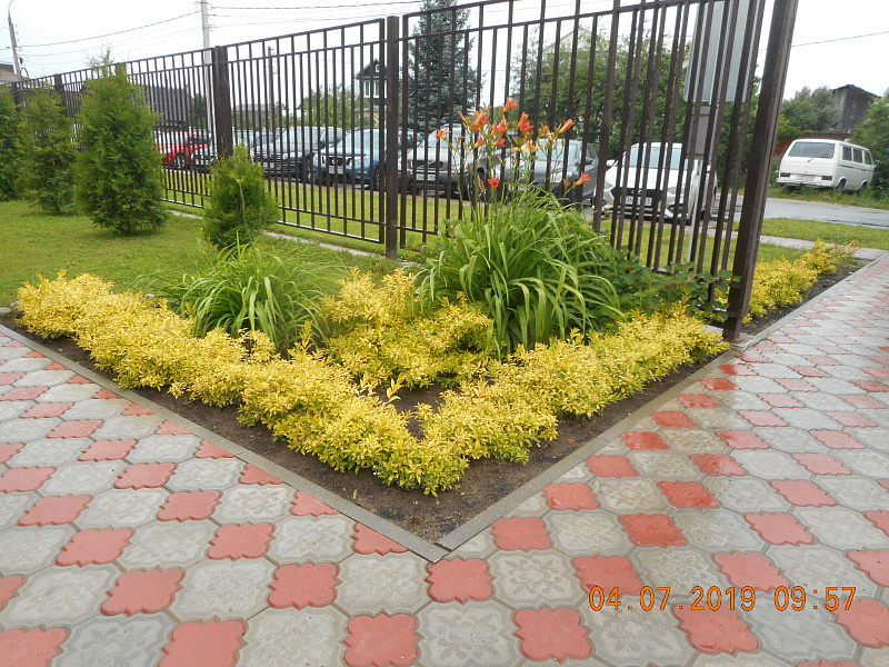 Конкурс по благоустройству «Дом в котором мы живем» 