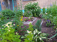 В Твери наградили участников фестиваля цветников  «Украсим район своим руками»