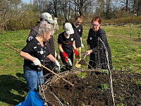 Волонтеры Победы в Заволжье