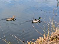 В связи с наступлением школьных каникул в Твери усилены мониторинги мест повышенной опасности для нахождения детей 