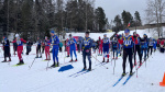 В тверском лыжном марафоне приняли участие 174 спортсмена 