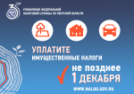 1 декабря – срок уплаты имущественных налогов за 2024 год 