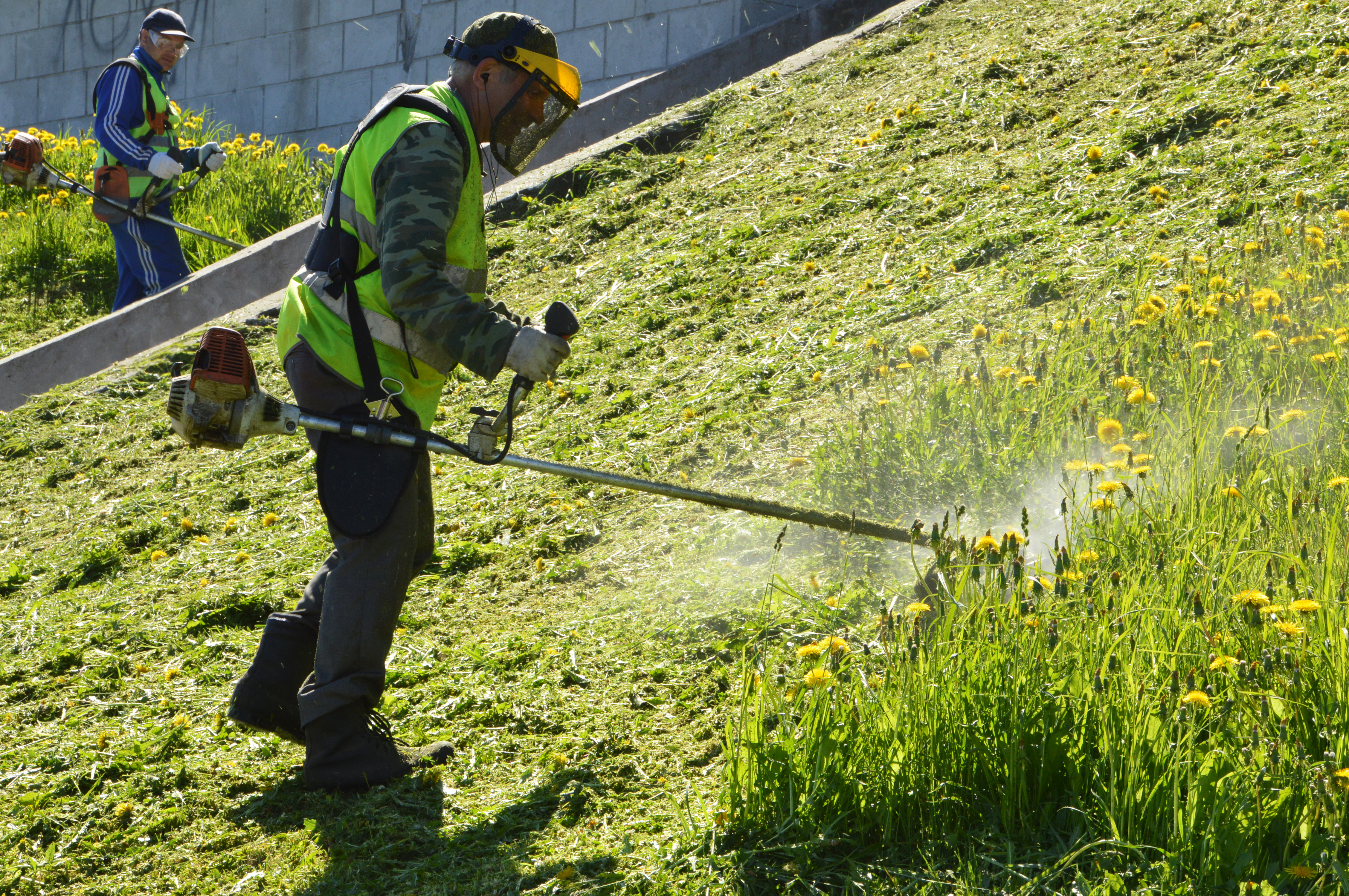 список работ по благоустройству. виды работ благоустройства. рабочий по благоустройству. лорн хэнкок ландшафтный дизайнер. брусника благоустройство дворовых территорий.