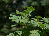 Администрация города продолжает еженедельную рубрику «Ключи Твери»