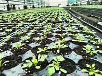 В Твери продолжаются весенние работы по благоустройству и уборке улиц