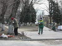 В Твери в сквере Казакова ведутся работы по озеленению